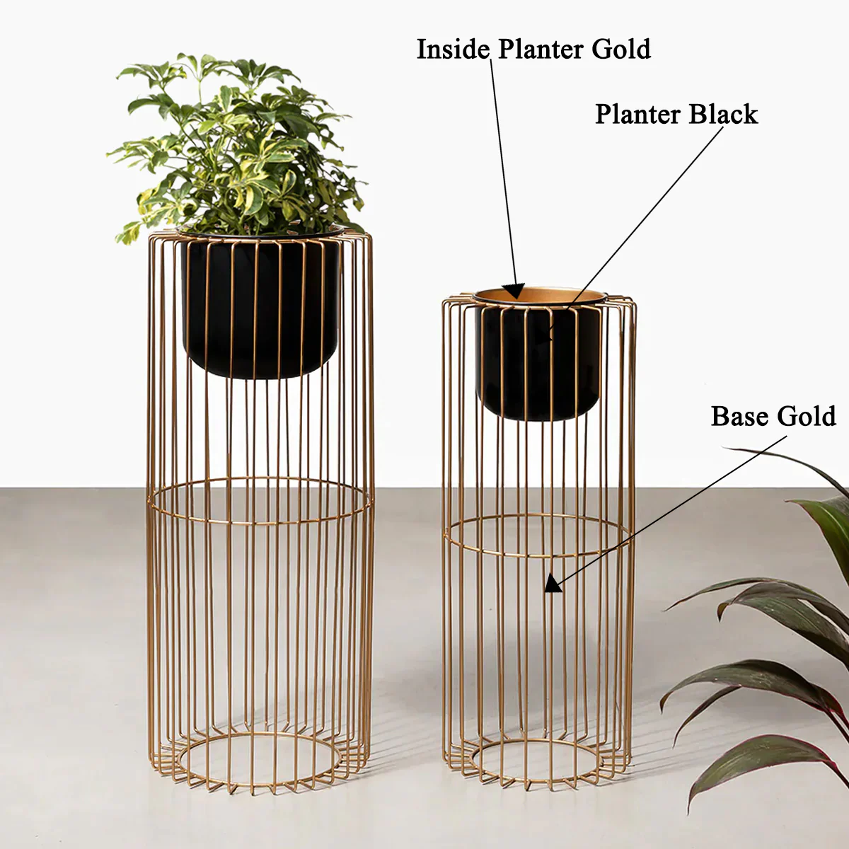 Botanic Couture Planters Set of 2 - Black - Image 2